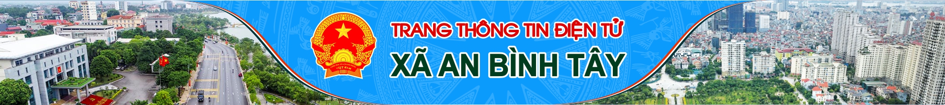 Site banner